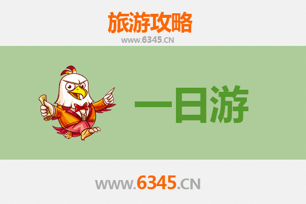 盐城滨海自驾一日游攻略：滩涂湿地与生态风情之旅
