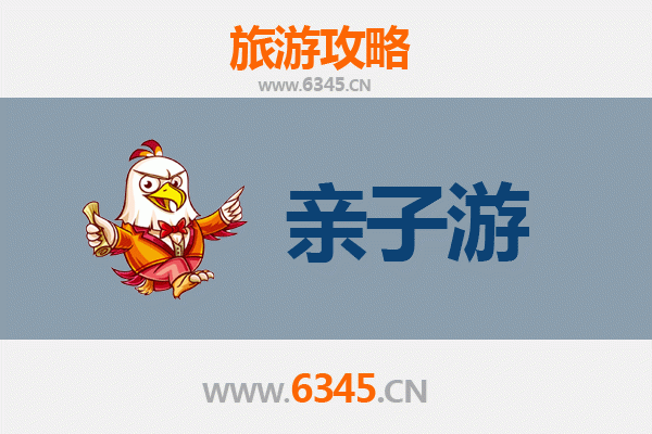盐城滨海亲子游全攻略：探索自然与文化的家庭乐趣