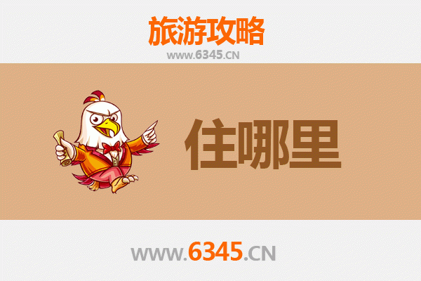 盐城滨海旅游民宿全攻略：沉浸滩涂湿地，邂逅鹤舞鹿鸣